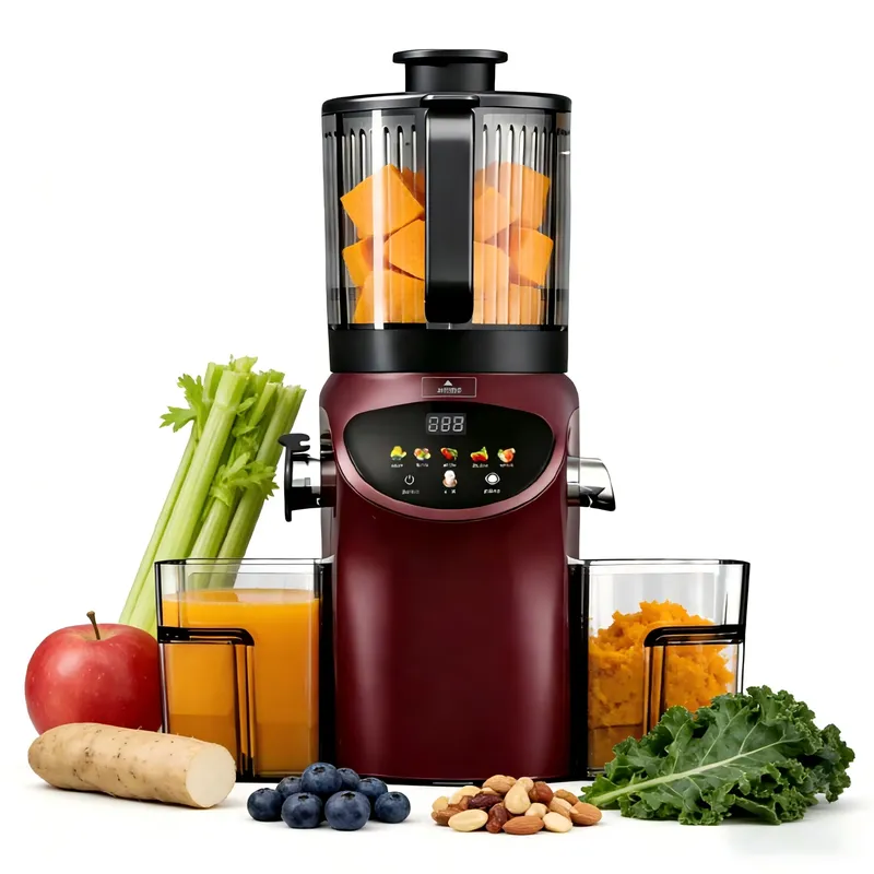 Estrattore di succo a freddo d - Electric Slow Juicer Cold Press recensione e prezzo